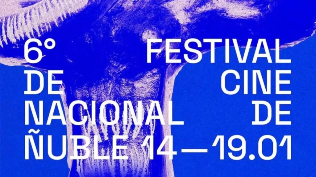 Festival De Cine Nacional De Ñuble